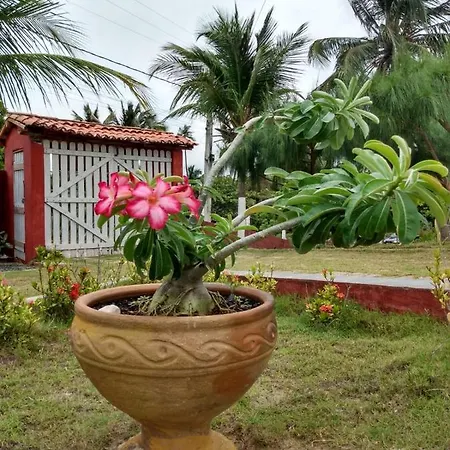 Casa Aratu Moitas-Icaraizinho De Amontada Villa Exterior photo